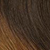 Clip-In Hair Extensions #T2/6 Chestnut Ombre